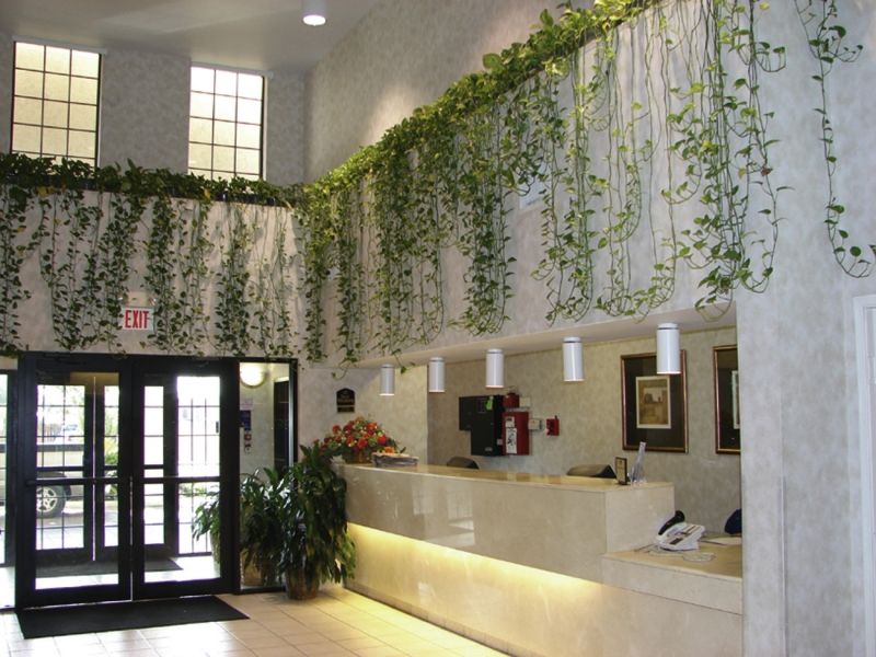 Quality Inn & Suites Airport Austin Buitenkant foto